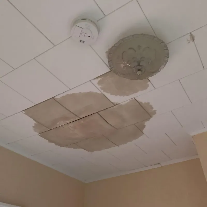 Ceiling Water Damage Repair in Santa Rosa County, FL
